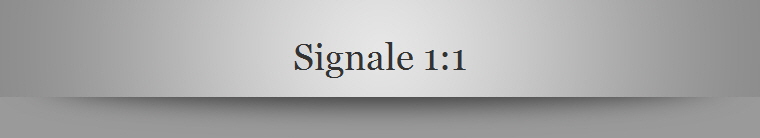 Signale 1:1